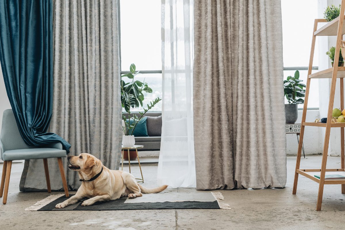 Amalfi grey colored material