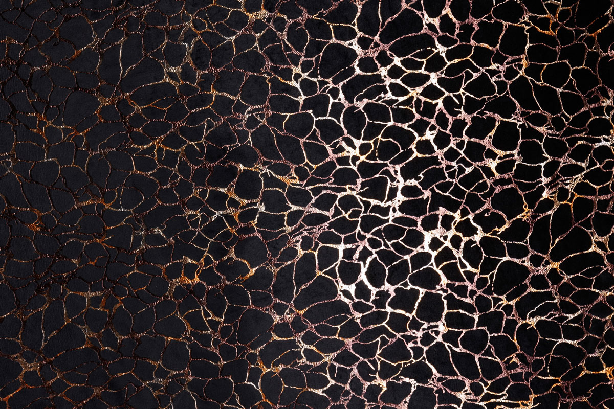 roca blue print curtain